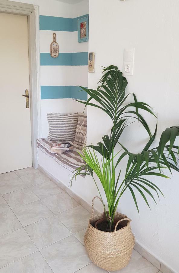 Apartament Mesogitonia House Káto Zákros Zewnętrze zdjęcie